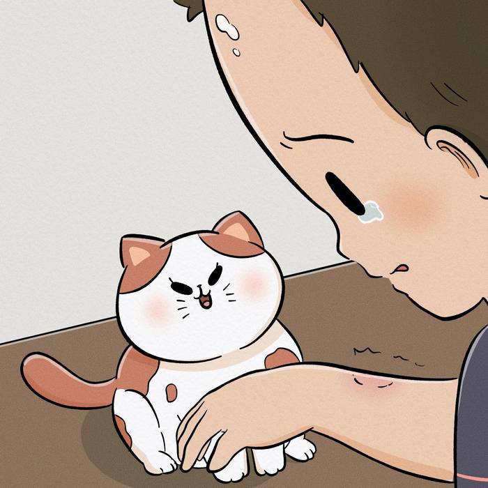 Uma linda história: Chore se quiser