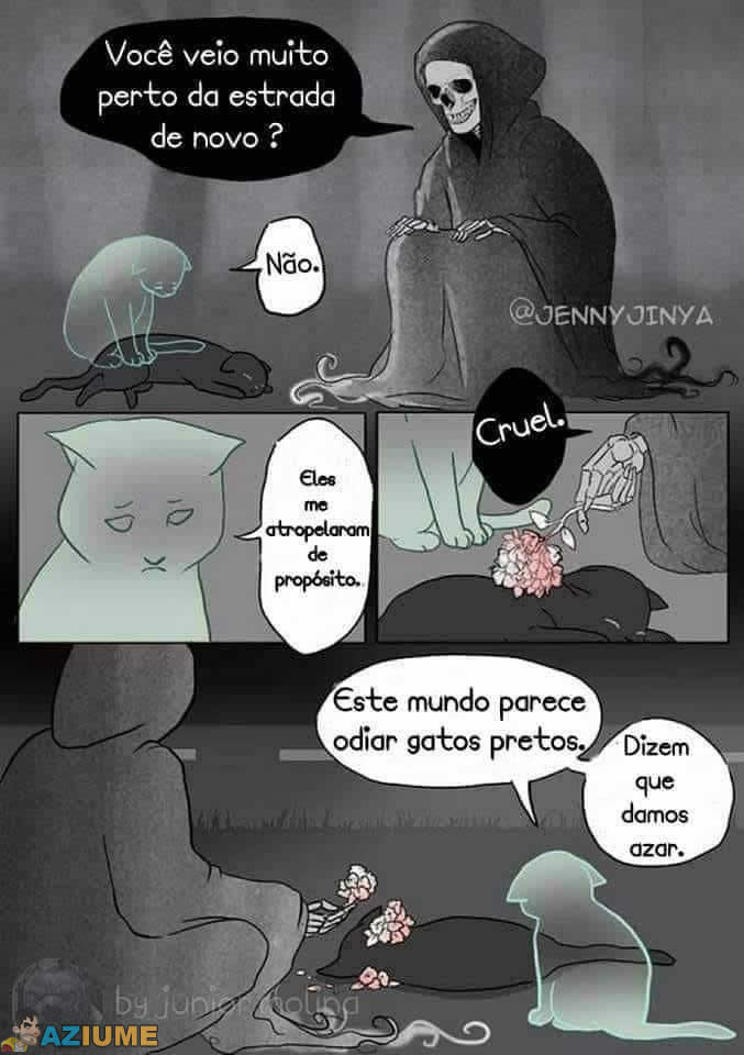 Gato preto dá azar