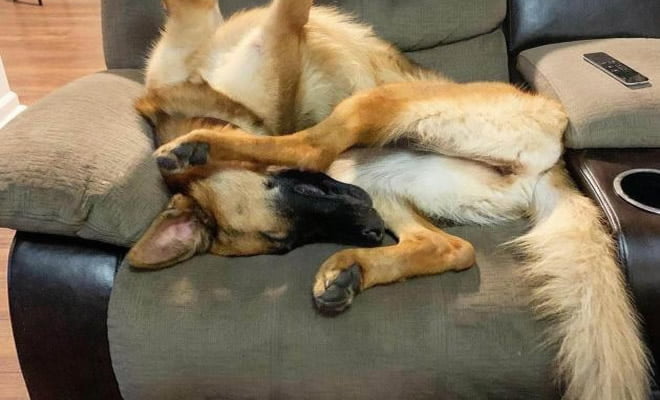 Motivo que eu tenho dores nas costas