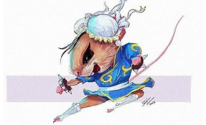 Hantaro Street Fighter!