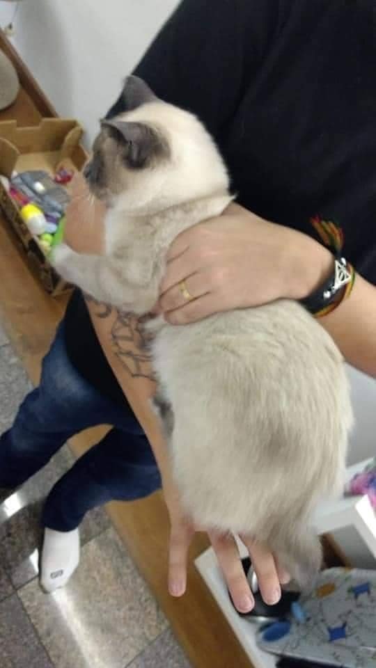 E de que tamanho você quer sua tatuagem?