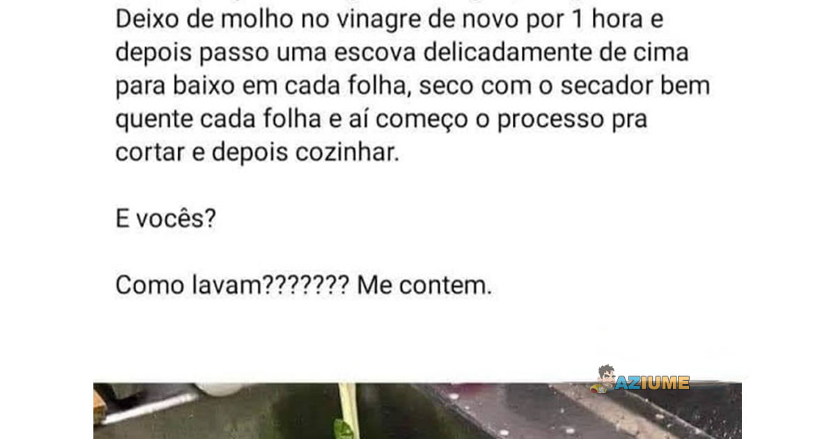 O jeito certo de lavar couve e outras hortaliças