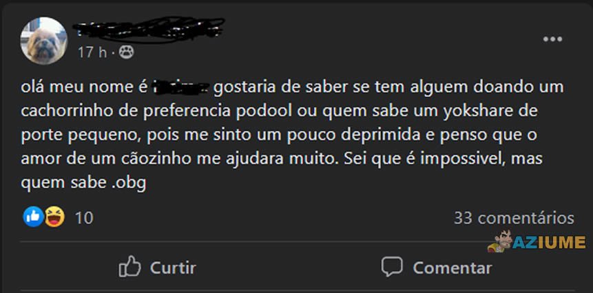 A procura de uma doação de cachorro A procura de uma doação de cachorro