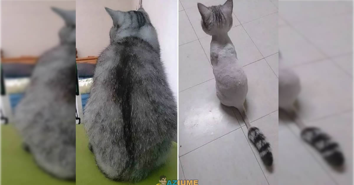 Antes e depois de ir no cabeleireiro