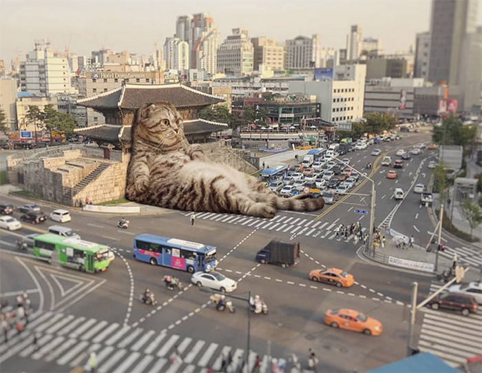 Gatos gigantes em paisagens urbanas