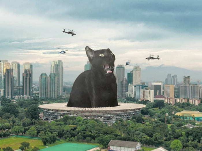Gatos gigantes em paisagens urbanas