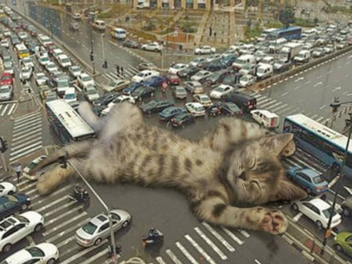 Gatos gigantes em paisagens urbanas