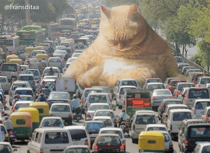 Gatos gigantes em paisagens urbanas