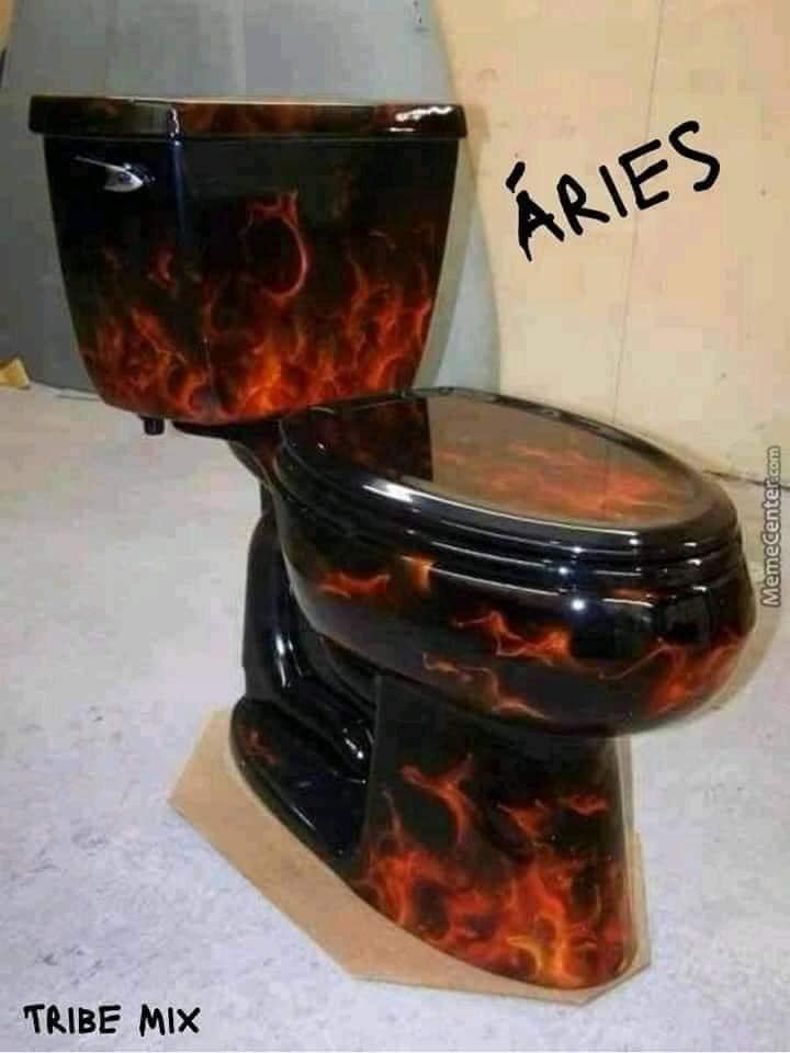 12 signos versão vaso sanitário