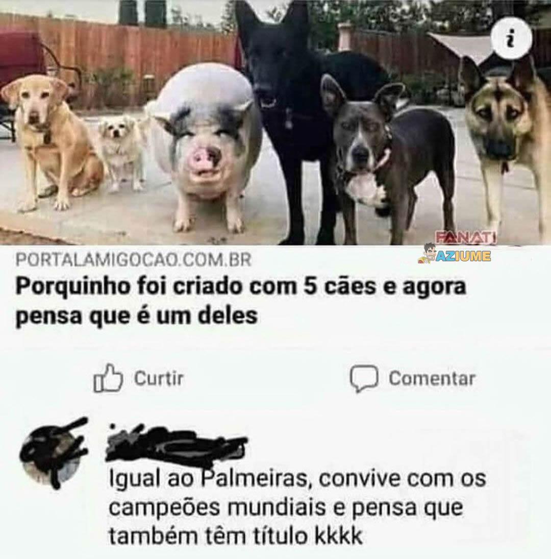 Zuando o Palmeiras Zuando o Palmeiras