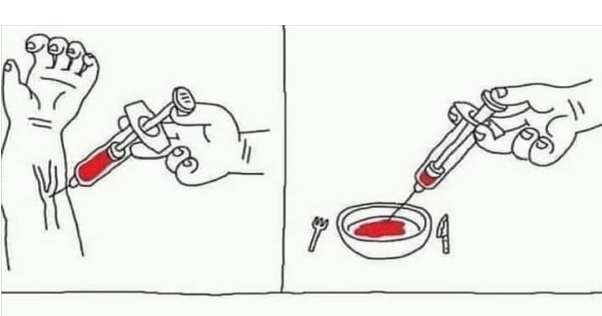 Como alimentar mosquitos Como alimentar mosquitos