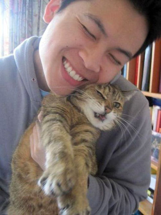 22 gatos que odeiam tirar selfies com seus humanos idiotas