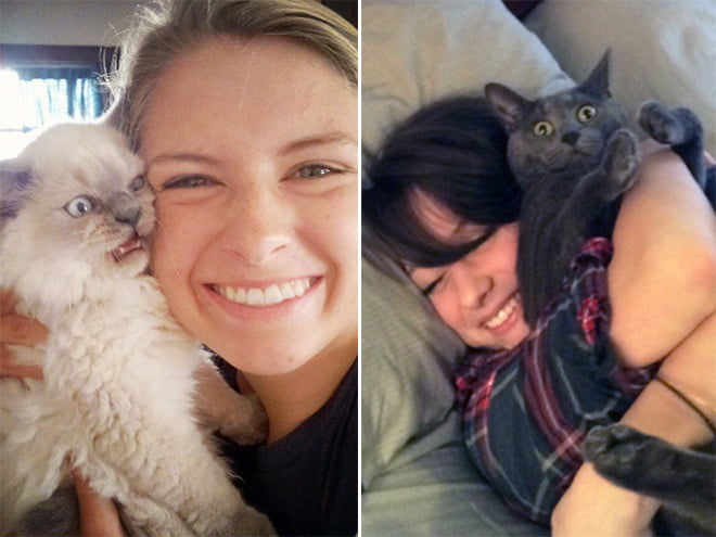 22 gatos que odeiam tirar selfies com seus humanos idiotas 22 gatos que odeiam tirar selfies com seus humanos idiotas