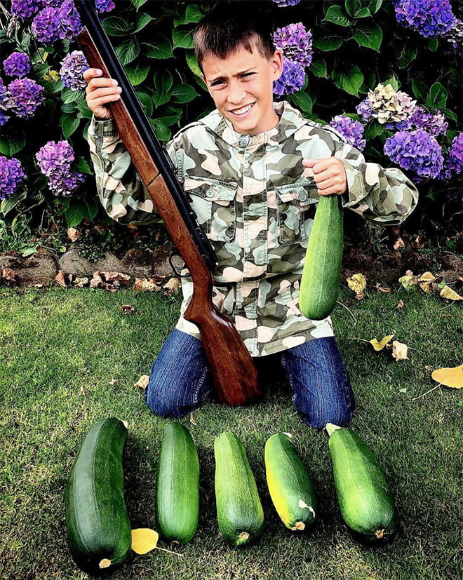 Quando vegano resolve caça