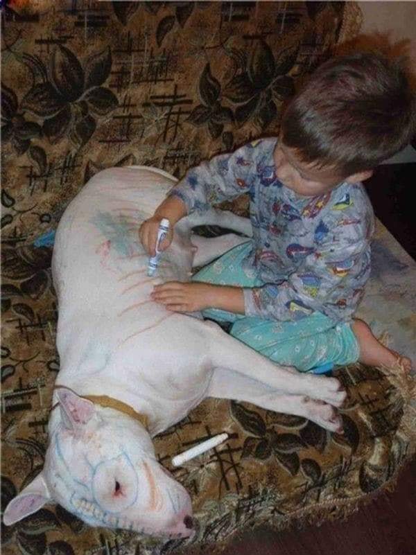 Se você acha que seu filho dá muito trabalho, olhe para essas crianças Se você acha que seu filho dá muito trabalho, olhe para essas crianças