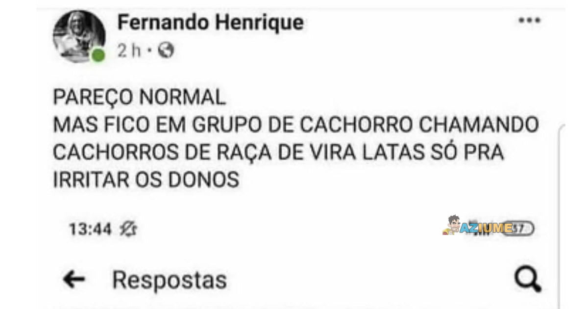 Está com Tédio? Veja essa ótima dica Está com Tédio? Veja essa ótima dica