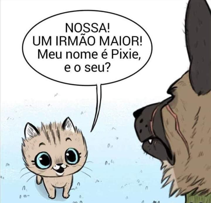 A historia Pixie e Brutus