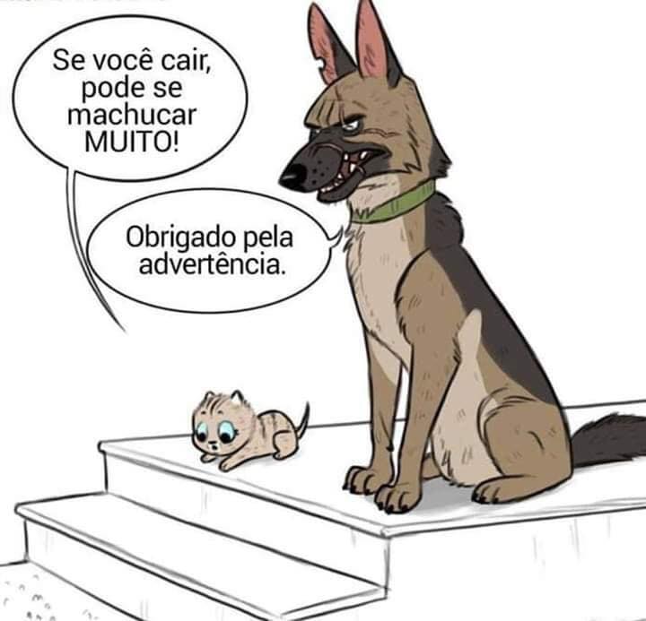 A historia Pixie e Brutus