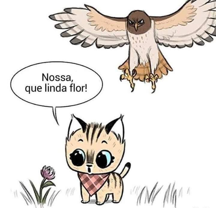 A historia Pixie e Brutus