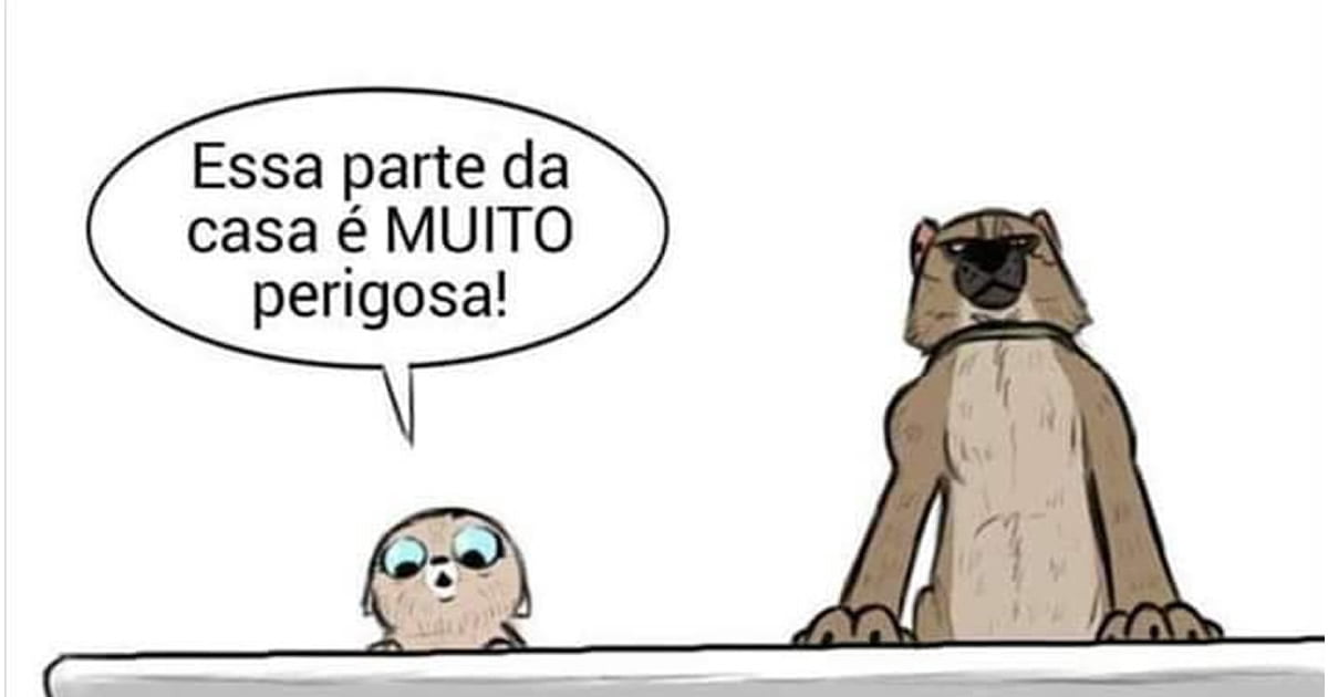 A historia Pixie e Brutus A historia Pixie e Brutus