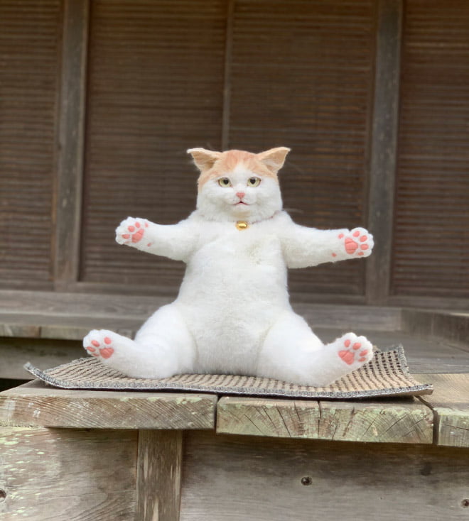 Mochila de gato que parece um gato vivo de verdade