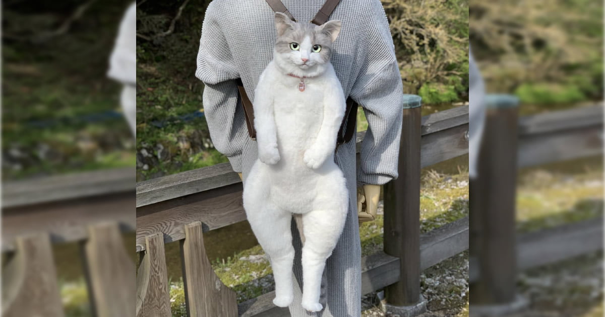 Mochila de gato que parece um gato vivo de verdade Mochila de gato que parece um gato vivo de verdade