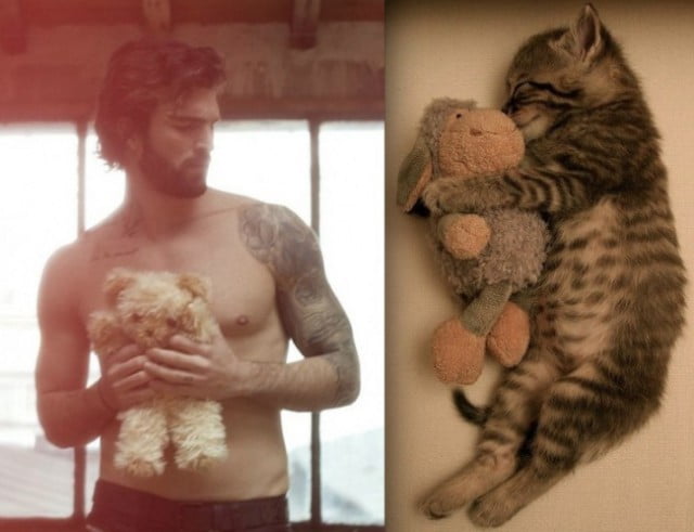 Quando um gato é mais fotogênico do que você