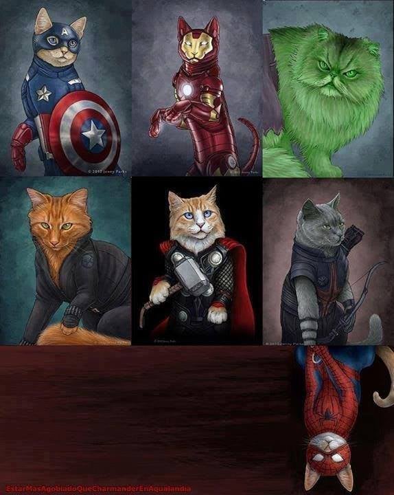 E se os Vingadores fossem gatos... VinGATOres