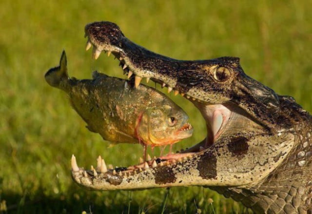 17 fotos tiradas um segundo antes de uma tragédia