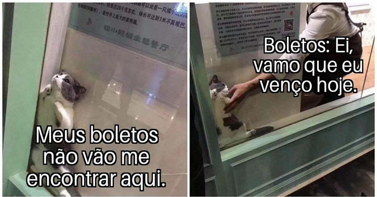 Se boleto fosse bom se chamava brigadeiro