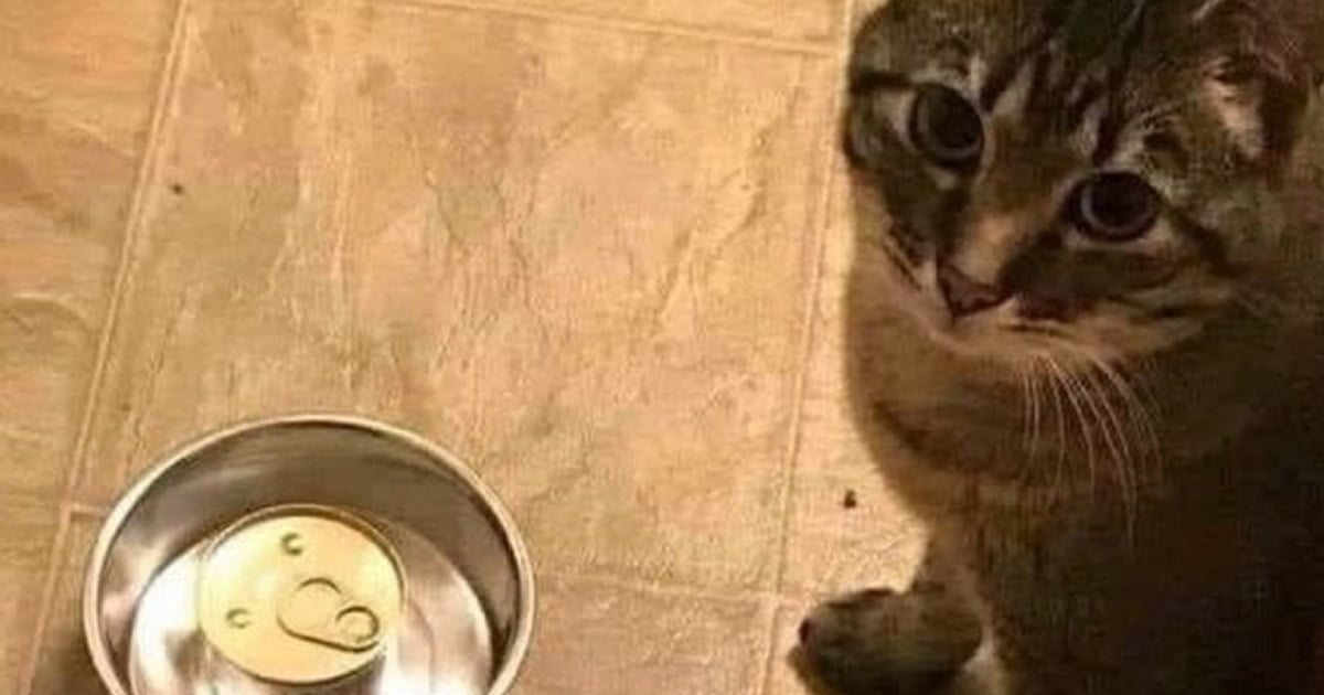 Depois que alguém morre não sabe o por que