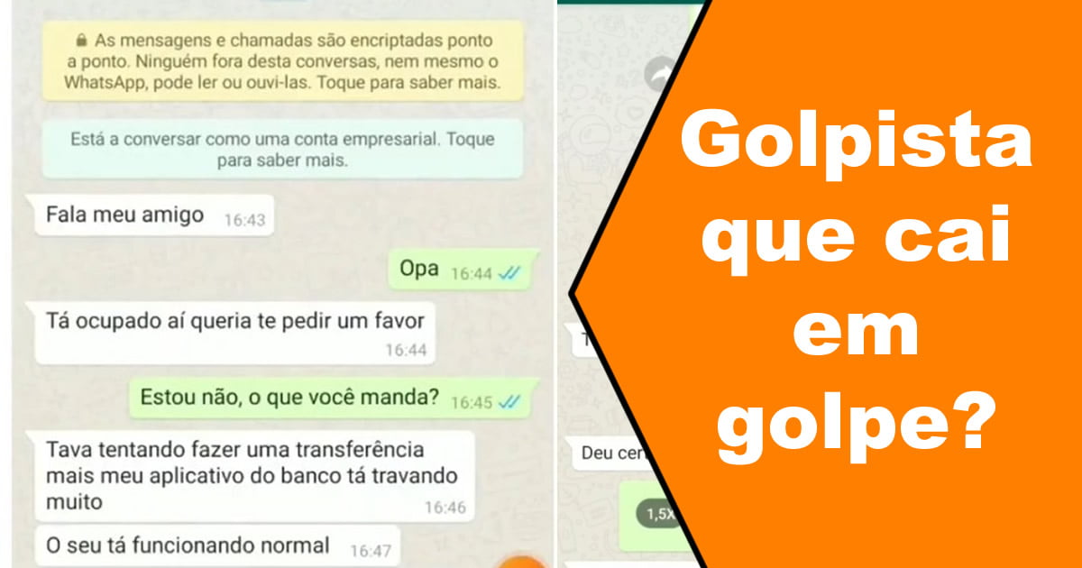 Golpista que cai em golpe? Sim, temos no Brasil