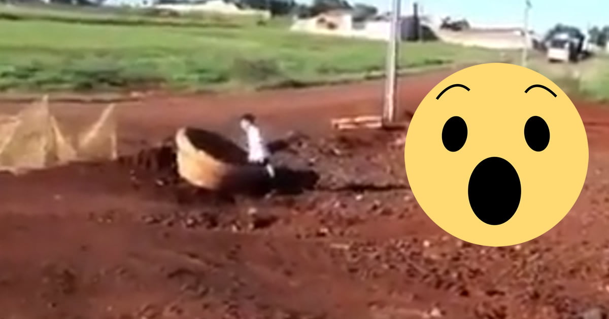 Alguém segura esse menino Alguém segura esse menino