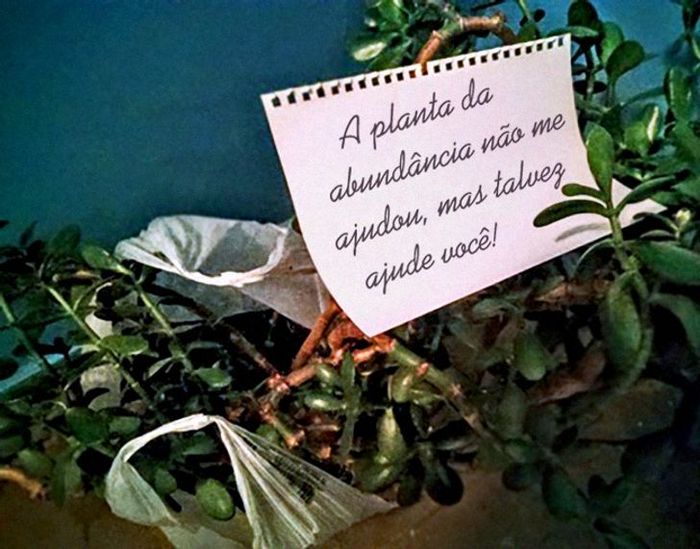 13 bilhetes engraçados que mostram que ter um vizinho pode ser divertido 13 bilhetes engraçados que mostram que ter um vizinho pode ser divertido