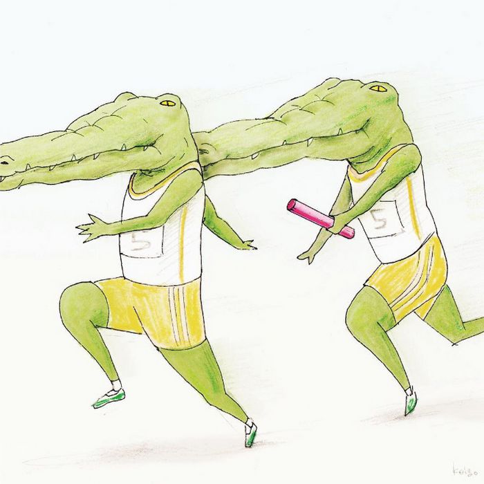 Crocodilo tentando (e não conseguindo) fazer coisas