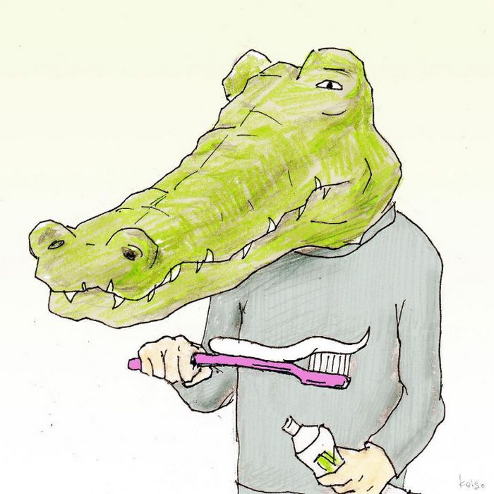 Crocodilo tentando (e não conseguindo) fazer coisas