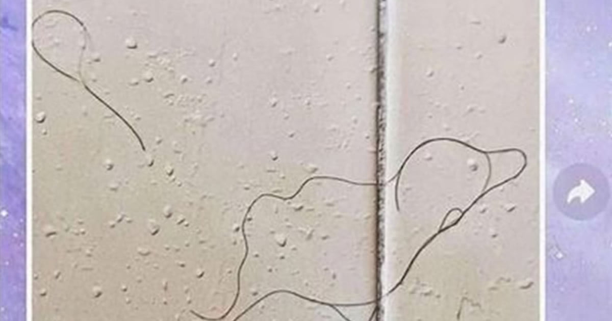 Uma obra prima Uma obra prima