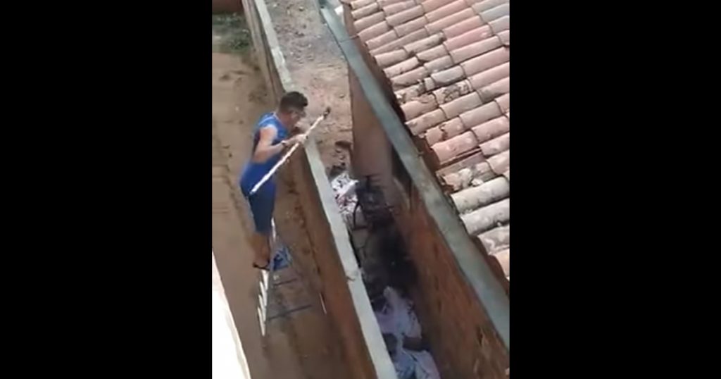 Roubando churrasco do vizinho Roubando churrasco do vizinho