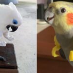 Braços humanos para papagaios