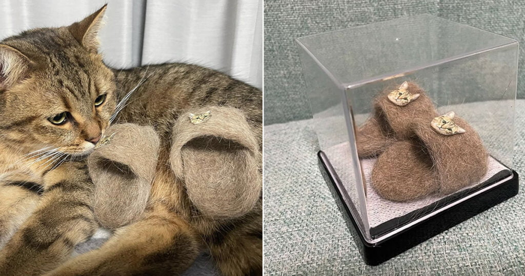 Dona de gato usa restos de pelo para fazer chinelos adoráveis