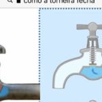 Informação inútil que você precisa saber