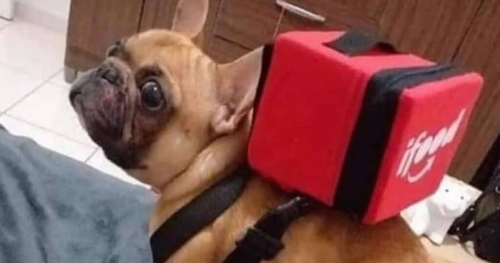 Situação não está fácil para ninguém