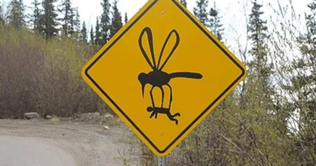 A grande mosca - Se tem placa tem história A grande mosca – Se tem placa tem história