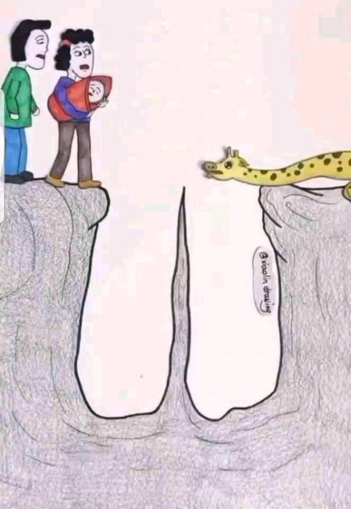 Como os seres humanos são