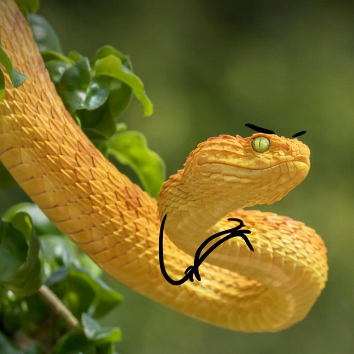 Desenhar braços em cobras é hilário