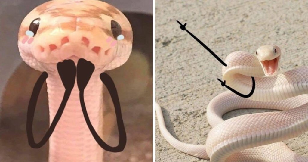 Desenhar braços em cobras é hilário Desenhar braços em cobras é hilário