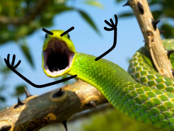 Desenhar braços em cobras é hilário