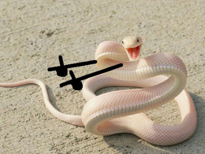 Desenhar braços em cobras é hilário