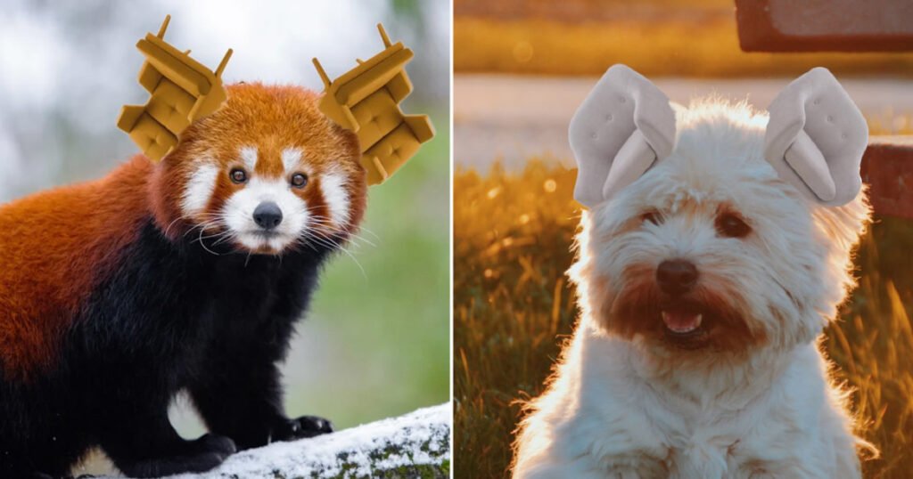 Há uma comunidade online que substitui orelhas de animais por poltronas