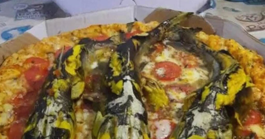 Lançamento da nova Pizza sabor Bagre Lançamento da nova Pizza sabor Bagre